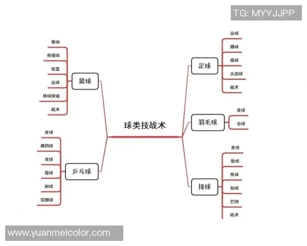 北京排球队总决赛速度表现分析与战术探讨 北京排球队总决赛速度表现分析与战术探讨