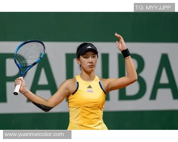 北京网球队个人能力分析与发展策略探讨 北京网球队个人能力分析与发展策略探讨