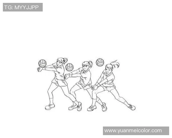 从零开始掌握排球技巧与战术全解析助你成为排球高手