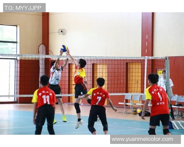 深入分析重庆排球队中路突破战术的优势与应用策略