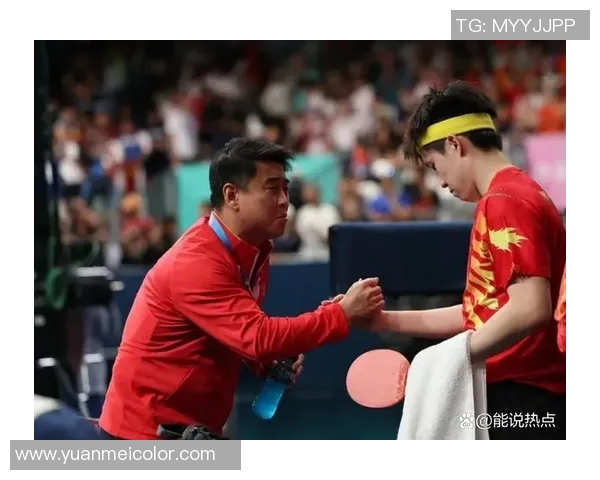 武汉乒乓球队实力变革引发热议展现新风貌与未来潜力