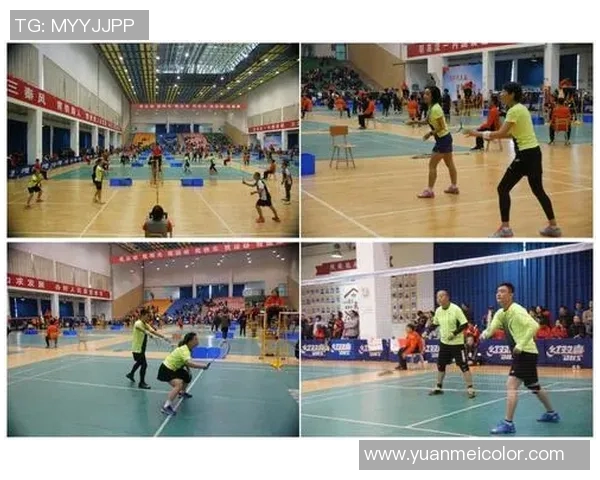 西安羽毛球队总决赛战术分析与表现评估的深度解读