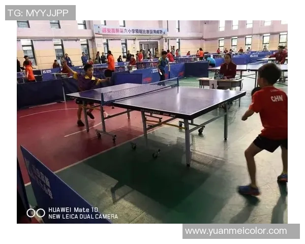 西安乒乓球队中路突破的成功与不足分析及改进建议 西安乒乓球队中路突破的成功与不足分析及改进建议