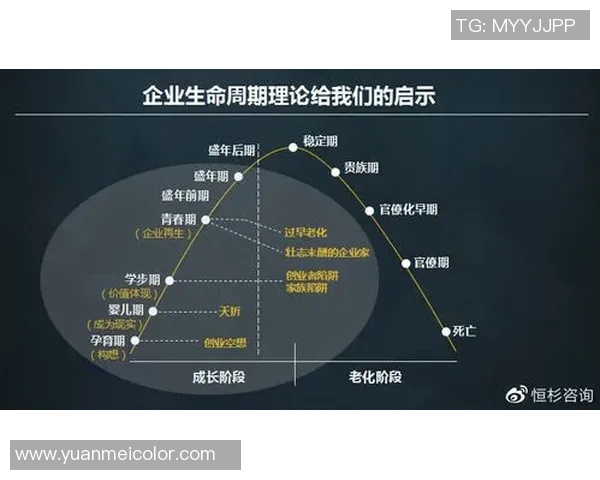 上海篮球队的控制革新探索与发展路径分析