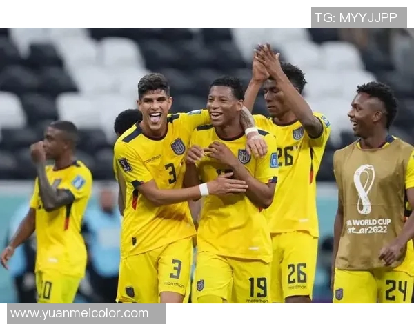 世界杯点评：西安羽毛球队战术表现分析与未来展望