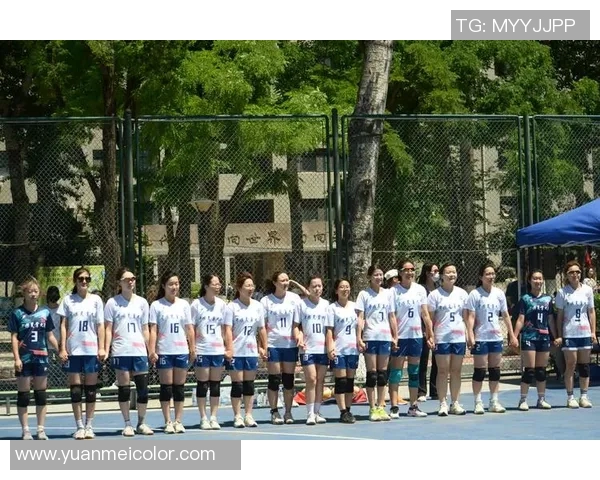 北京排球队的奋斗历程与荣耀时刻全景纪实 北京排球队的奋斗历程与荣耀时刻全景纪实