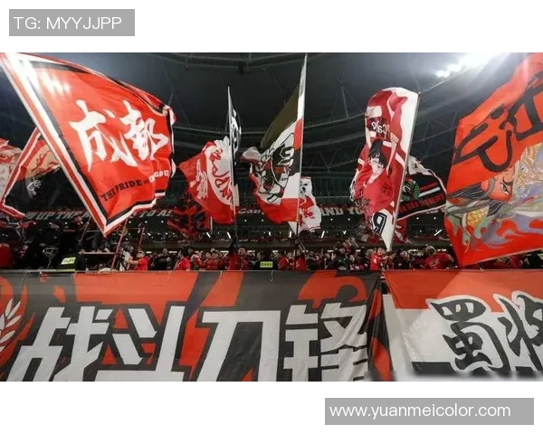 成都足球队荣登足球意识排行榜第七位引发热议