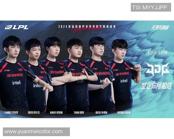 英雄联盟深度解析：揭秘JDG战队的成功之道与比赛经验分享