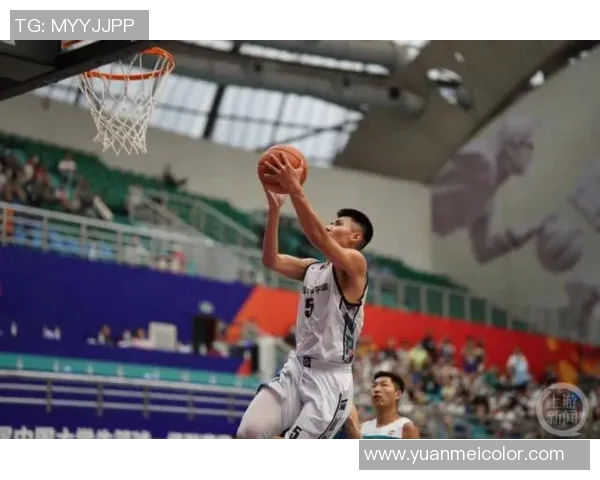 重庆篮球队荣登全国篮球技术排行榜第九名引发热议