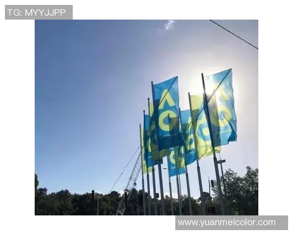 卡洛维奇与奎瓦斯激战正酣谁将晋级下一轮比赛的巅峰对决 卡洛维奇与奎瓦斯激战正酣谁将晋级下一轮比赛的巅峰对决