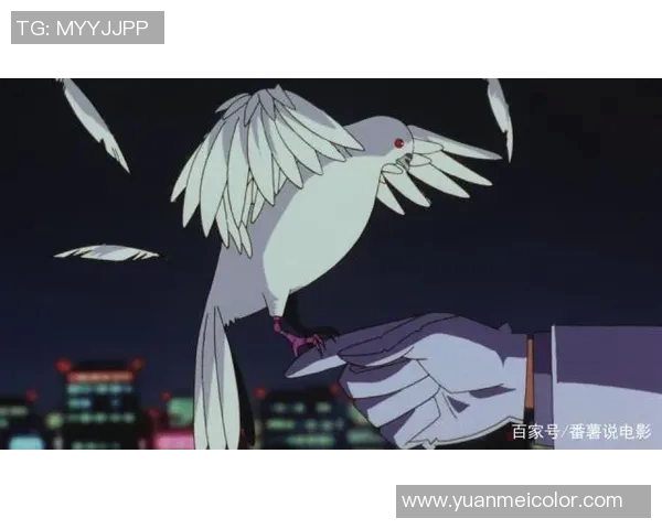 弗鲁米与维多利的激烈对决解析及赛后精彩瞬间回顾