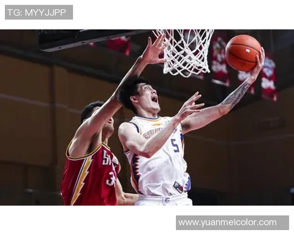 刘铮:从篮球场上的拼搏者到人生道路上的追梦人 刘铮:从篮球场上的拼搏者到人生道路上的追梦人