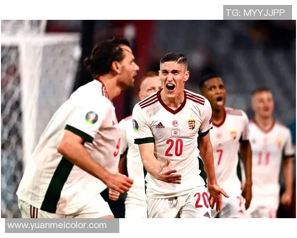 匈牙利与葡萄牙足球对决深度分析及战术解读