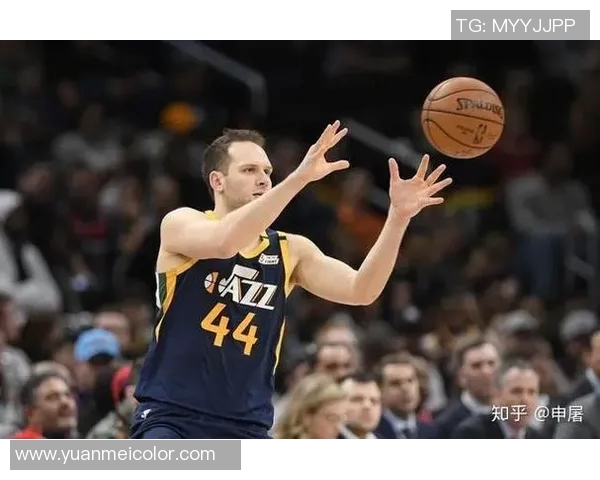 博格丹博格达诺维奇的篮球之路与成就探索 博格丹博格达诺维奇的篮球之路与成就探索