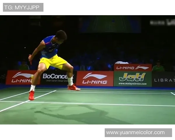 谌龙与陈金巅峰对决回顾：羽坛传奇的精彩瞬间与辉煌成就