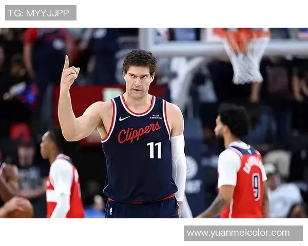 布鲁克洛佩斯：从篮筐之下的巨人到NBA的防守壁垒