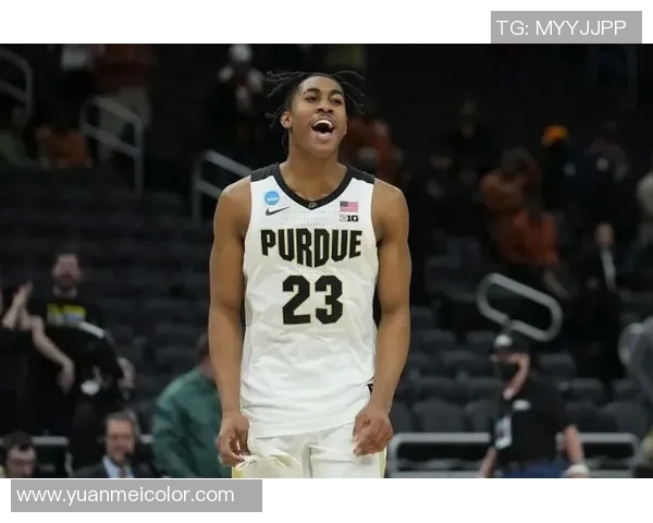 杰登艾维:新生代篮球明星的崛起与未来展望 杰登艾维:新生代篮球明星的崛起与未来展望