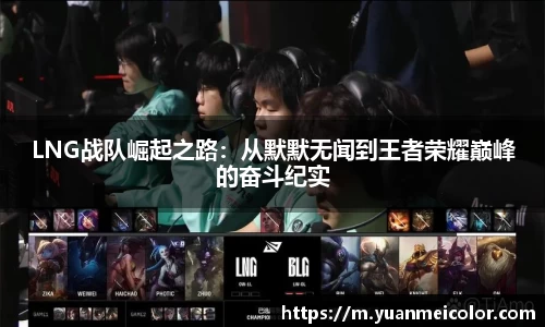 DB旗舰真人