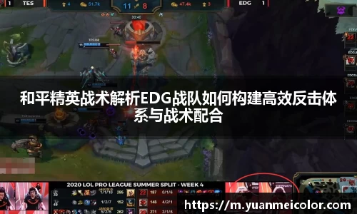 DB旗舰真人