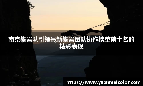 DB旗舰真人