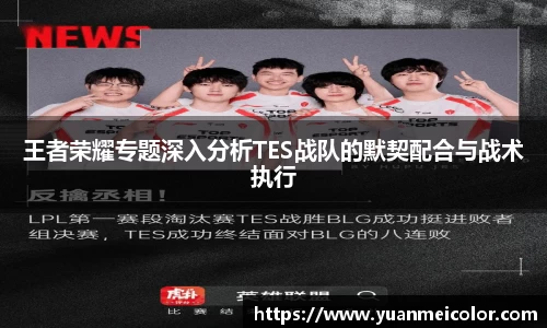 王者荣耀专题深入分析TES战队的默契配合与战术执行