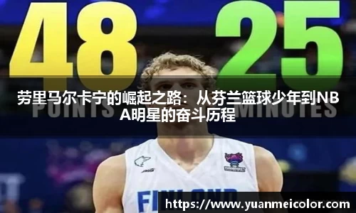 DB旗舰真人