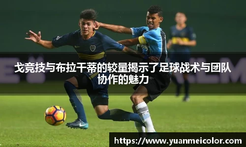 DB电竞官网
