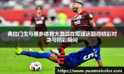 DB旗舰真人