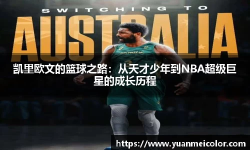 DB电竞官网